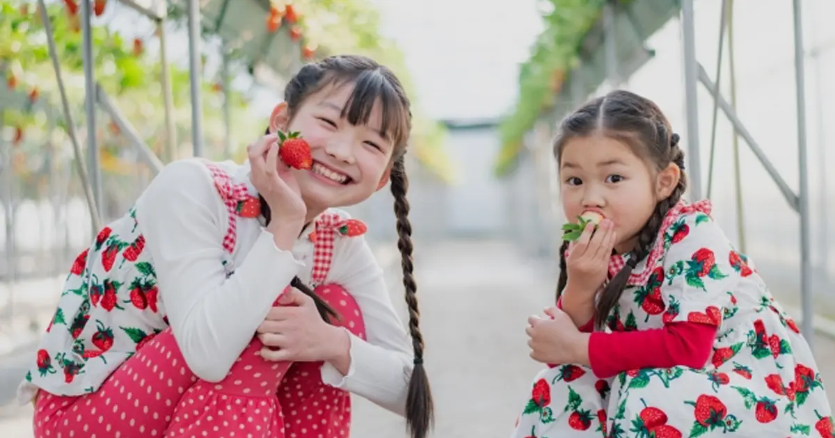 名古屋のいちご狩り農園向けホームページ制作！予約・電話対応を自動化するWeb活用術