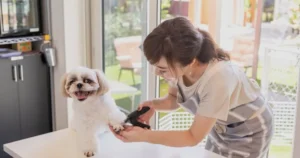 名古屋のペットサロン向けホームページ制作！「指名」が続く信頼構築の活用術